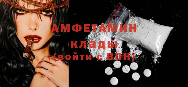 твердый Вяземский