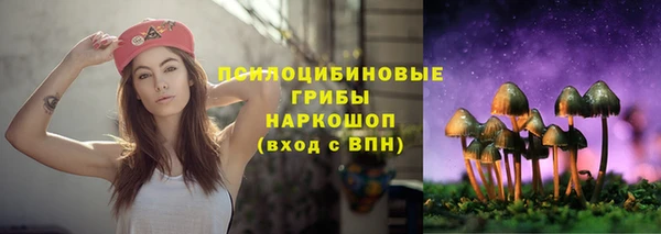 твердый Вяземский