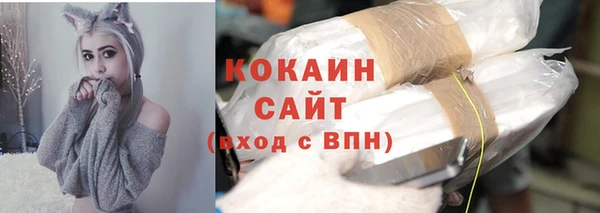 твердый Вяземский