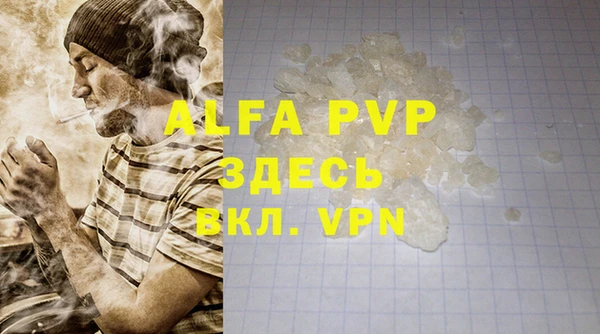 твердый Вяземский
