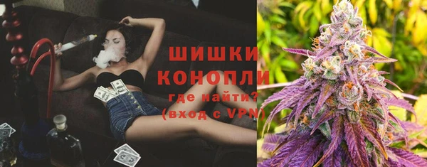 твердый Вяземский