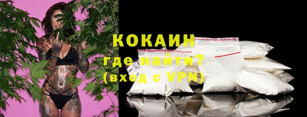 твердый Вяземский